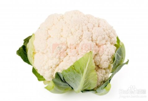 1544766031(1).png